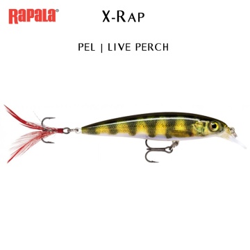Rapala X-Rap 10cm Freshwater | Воблер