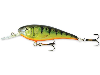 Goldy Troter S 7cm