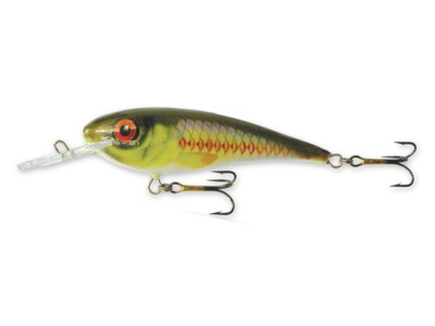 Goldy Troter F 6cm