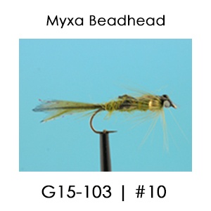 English Beadhead Fly | G15/003 Eyed Damsel
