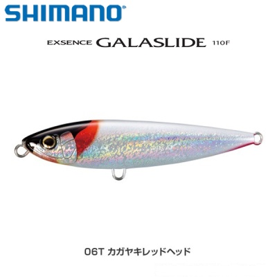 Shimano Exsence Galaslide 110F 06T