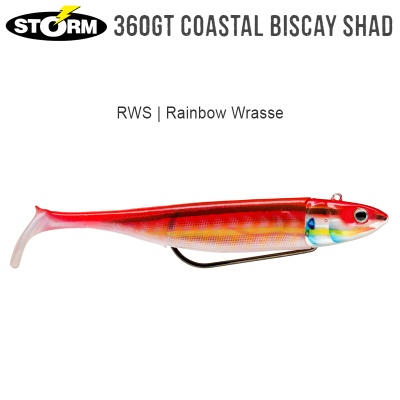 Силиконов шад Storm 360GT Coastal Biscay Shad 9cm | BSCS09 | RWS