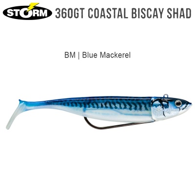 Storm 360GT Coastal Biscay Shad 9cm | BSCS09 | BM