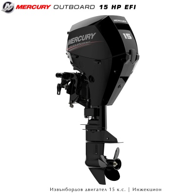 Mercury F15 EFI outboard motor | Remote control