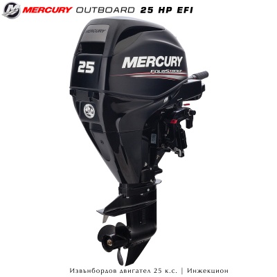 Mercury 25 EFI | Outboard motor | Tiller handle