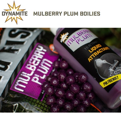 Dynamite Baits Mulberry Plum Boilies 1kg