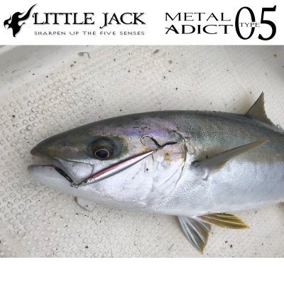 Little Jack METAL ADICT Type-05 | 60g Jig