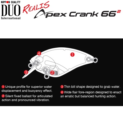 DUO Realis Apex Crank 66 Squared | Inner Structure