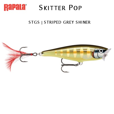 Rapala Skitter Pop (fresh water)  STGS | STRIPED GREY SHINER