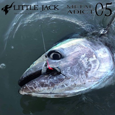 Little Jack Metal Adict Type-05 | 150g Jig