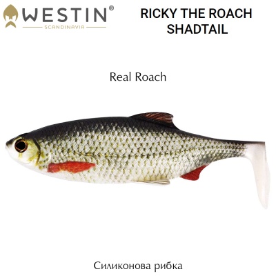 Westin Ricky the Roach Shadtail | Real Roach